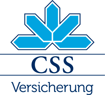 CSS Logo DE