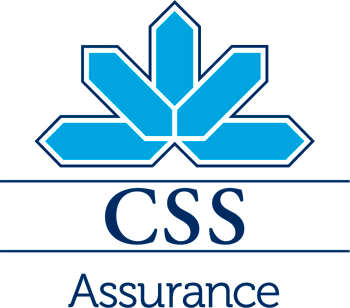 CSS Logo FR
