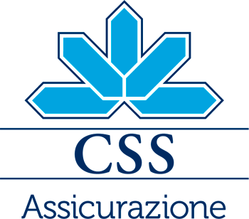 CSS Logo IT