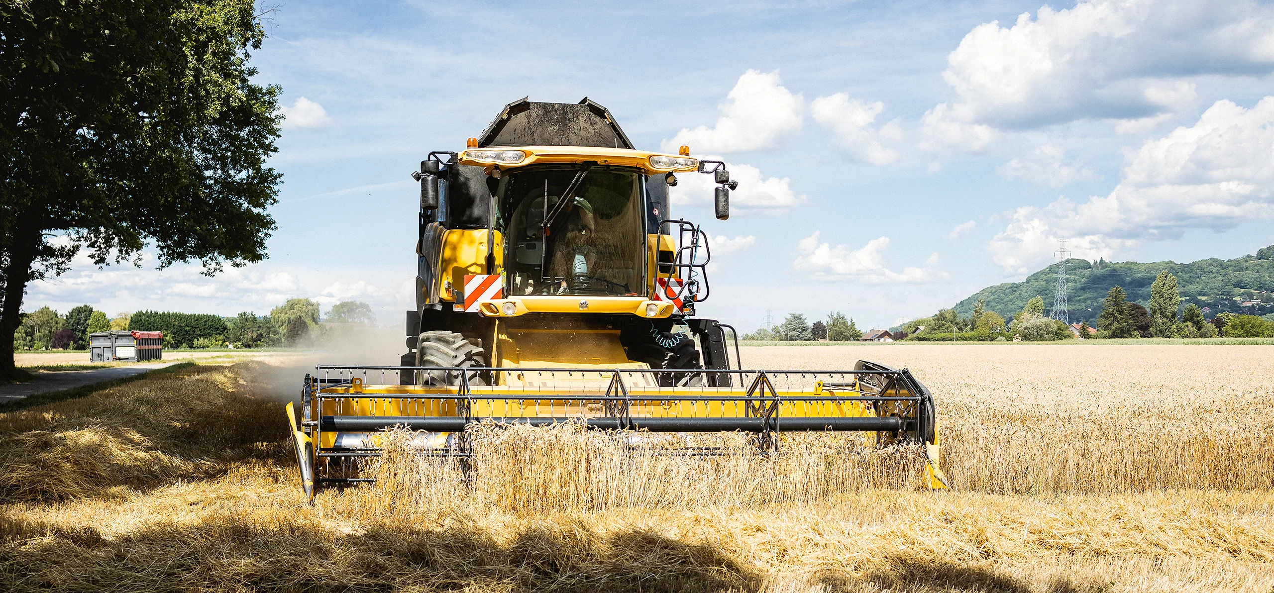 Agriculture