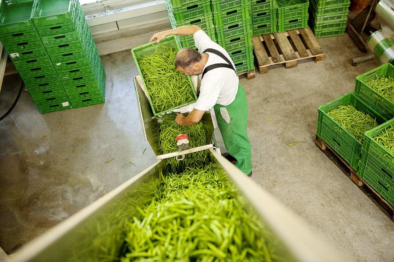 Fenaco transforme notamment des produits agricoles pour le commerce de détail.
