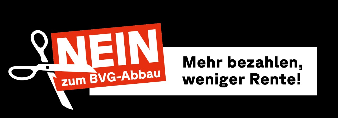 Logo_Gross_BVG21_Nein_DE