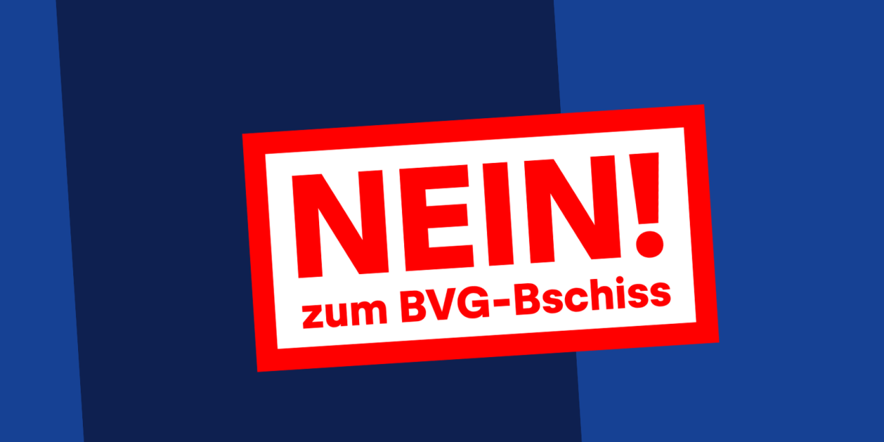 02-Header-BVG-Kampagne-2024