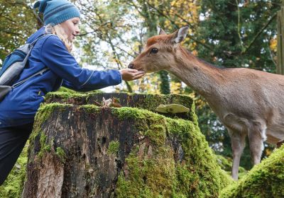 Tierpark Goldau