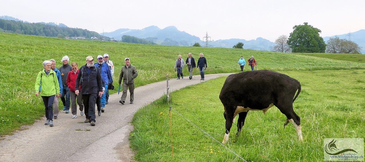 Wanderung-Rentner_P113082_20190509-123817_1