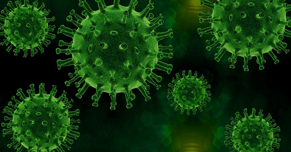 virus-4931041_960_720