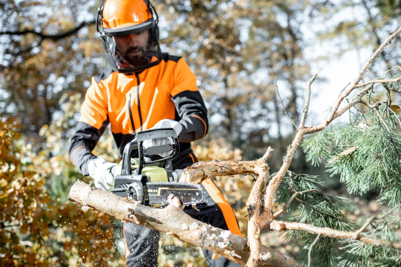 La convention collective de l’économie forestière entre en force