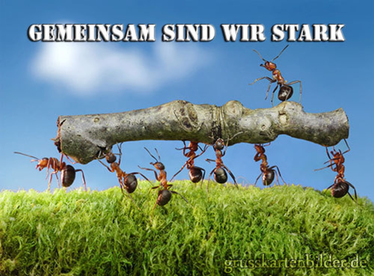4102286_XXL