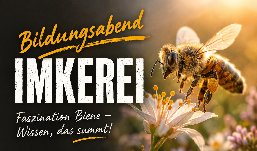 Bildungsabend-Titelbild.png